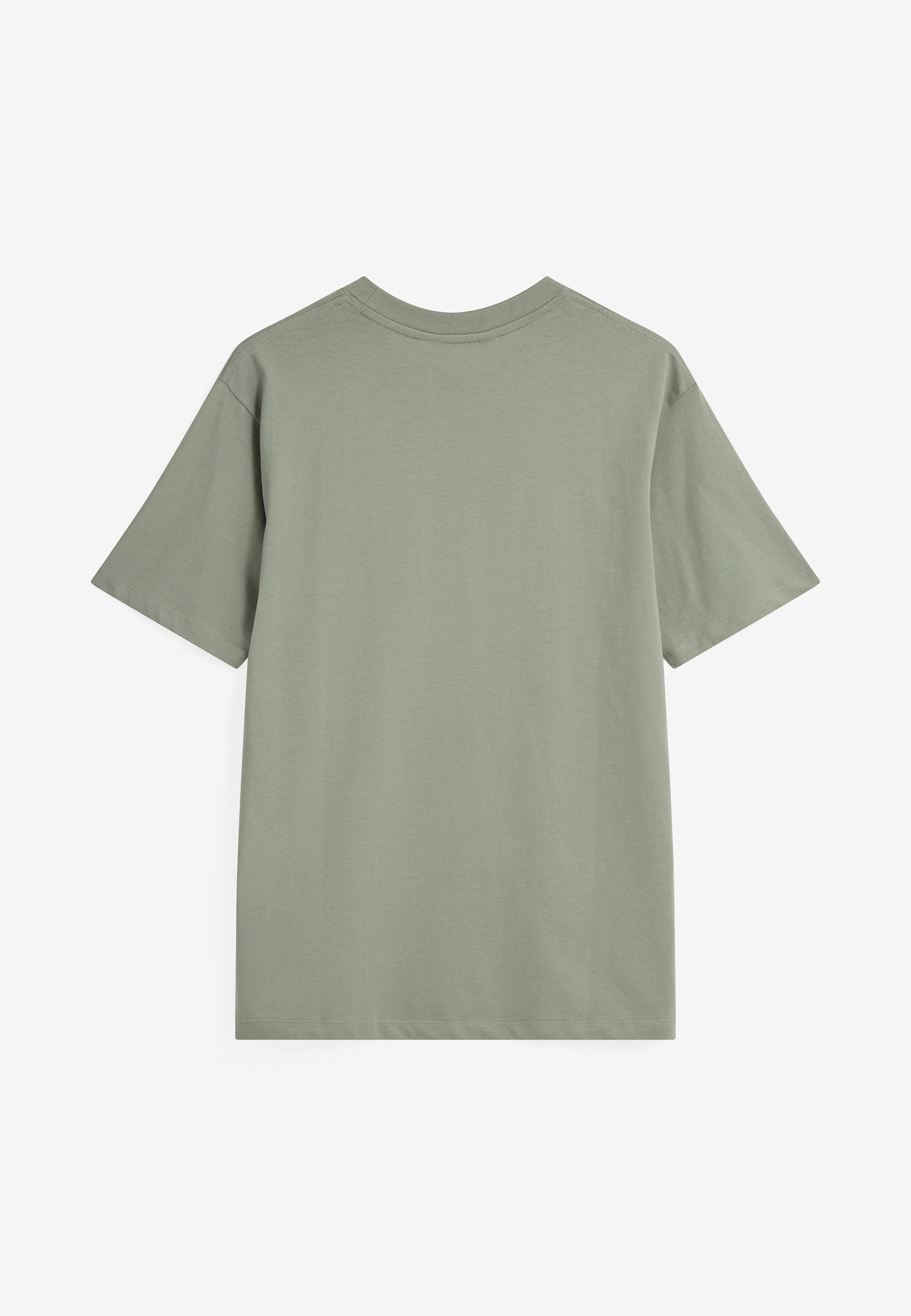 minimum male Aarhus short sleeved t-shirt G029 GOTS Short Sleeved T-shirt 5107 Chinois green